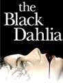 blackdahlia