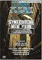 synechdoche